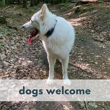 Marianna Am Mit Gratis Sauna, Ruderboot, Kajak & Wlan