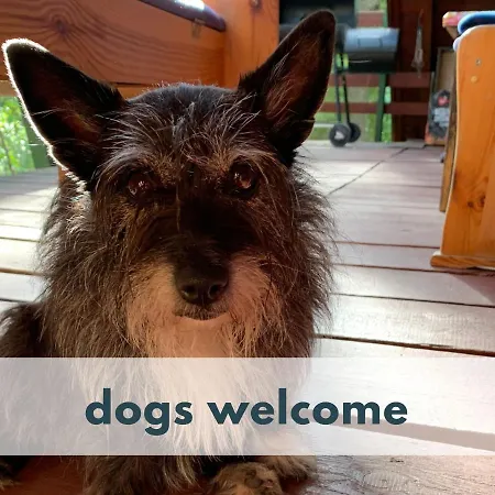 Marianna Am Mit Gratis Sauna, Ruderboot, Kajak & Wlan Feriehus *