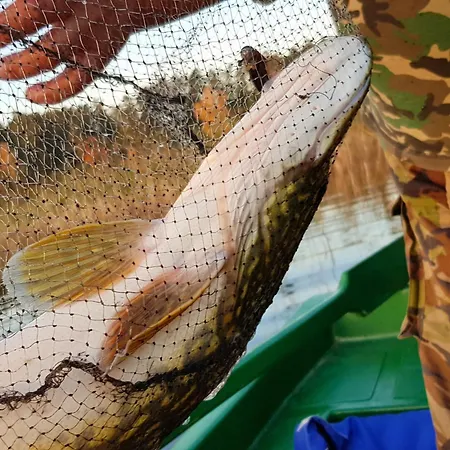 Marianna Am Mit Gratis Sauna, Ruderboot, Kajak & Wlan *