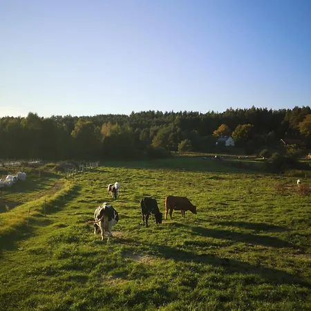 Marianna Am Mit Gratis Sauna, Ruderboot, Kajak & Wlan *